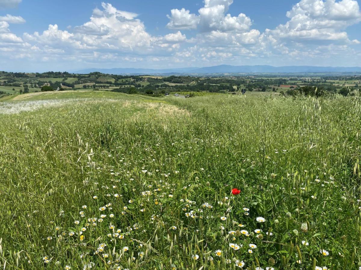 Agriturismo La Collina Villa Siena Eksteriør billede