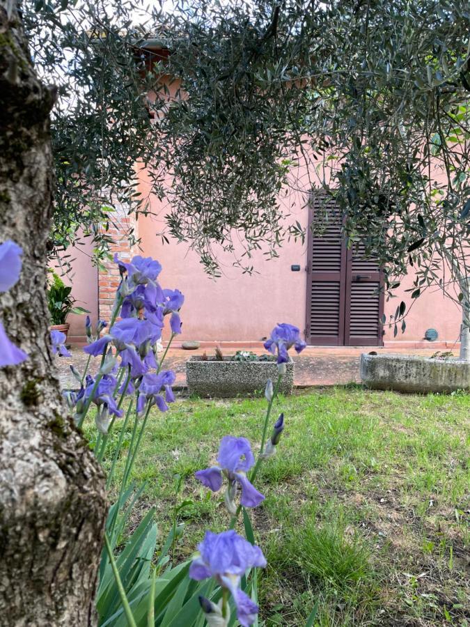 Agriturismo La Collina Siena Eksteriør billede