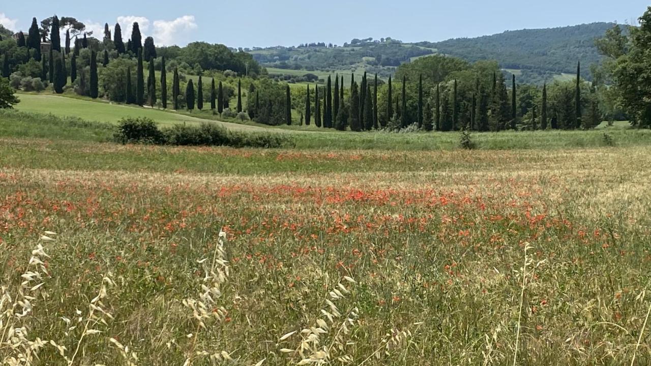 Agriturismo La Collina Villa Siena Eksteriør billede