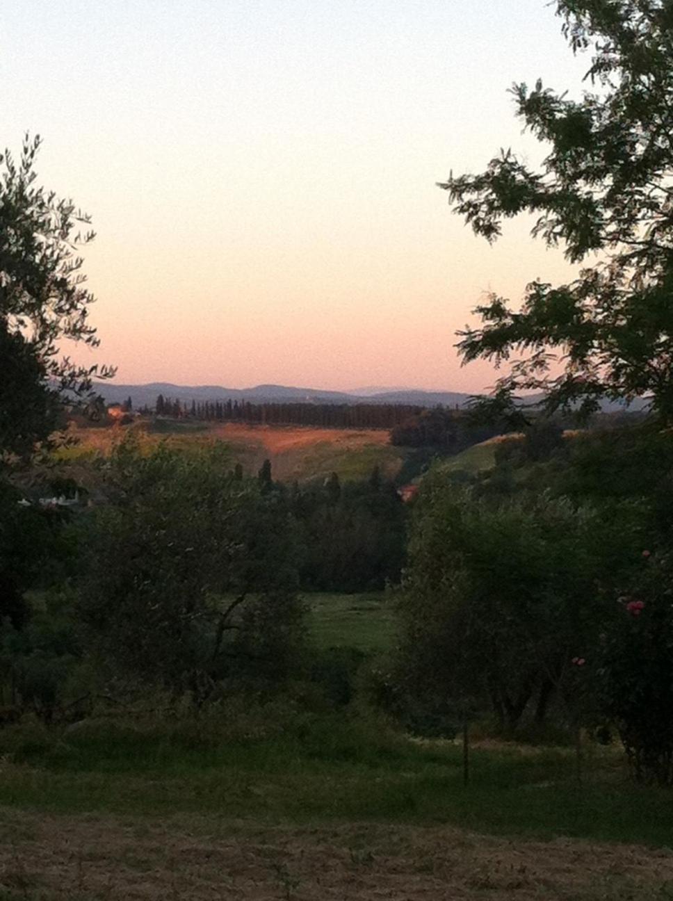 Agriturismo La Collina Siena Eksteriør billede
