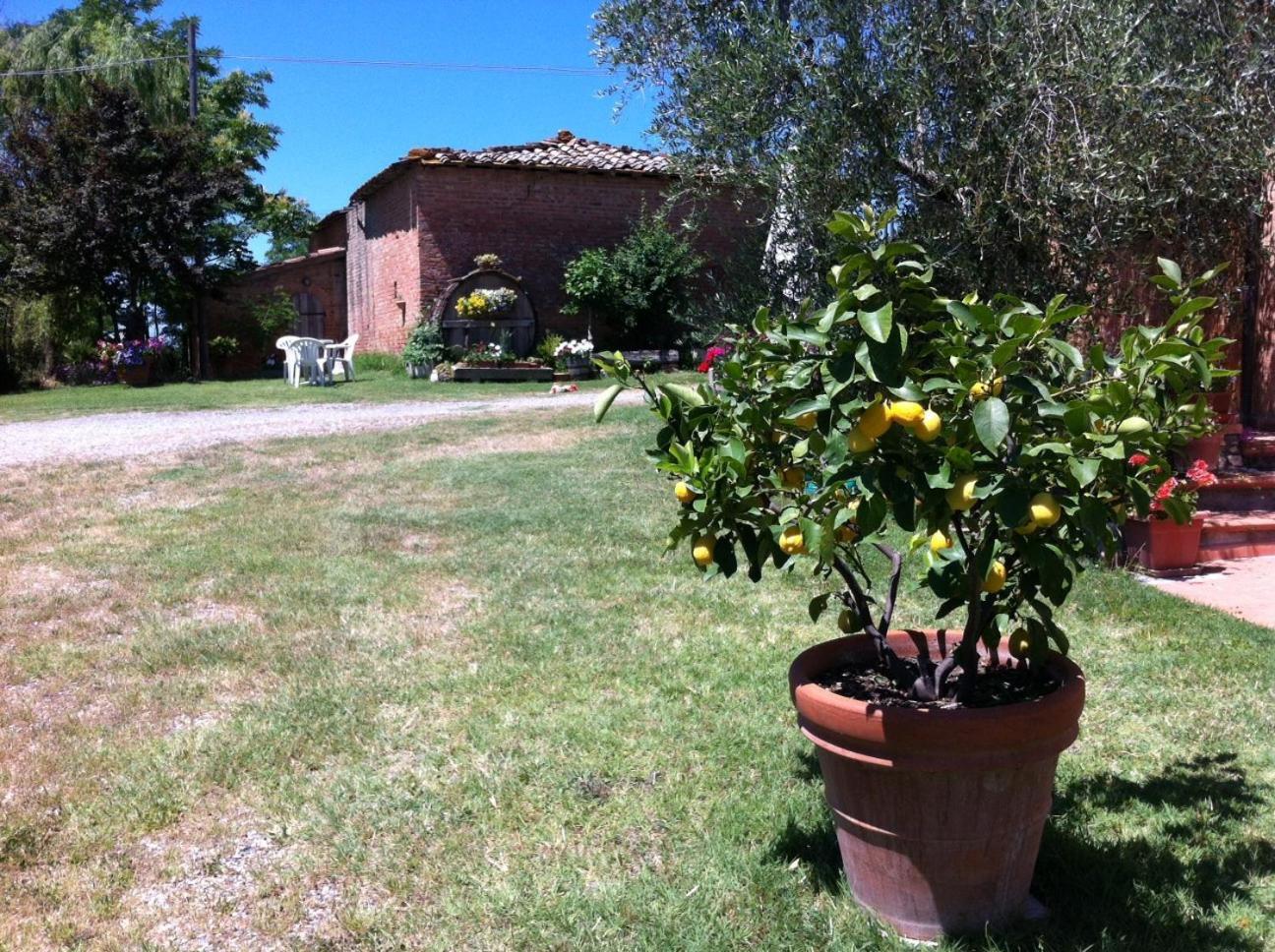 Agriturismo La Collina Siena Eksteriør billede